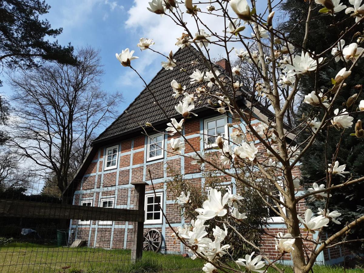 Schoenes Apartment Vor Den Toren Hamburgs - Keine Monteurwohnung Asendorf ภายนอก รูปภาพ
